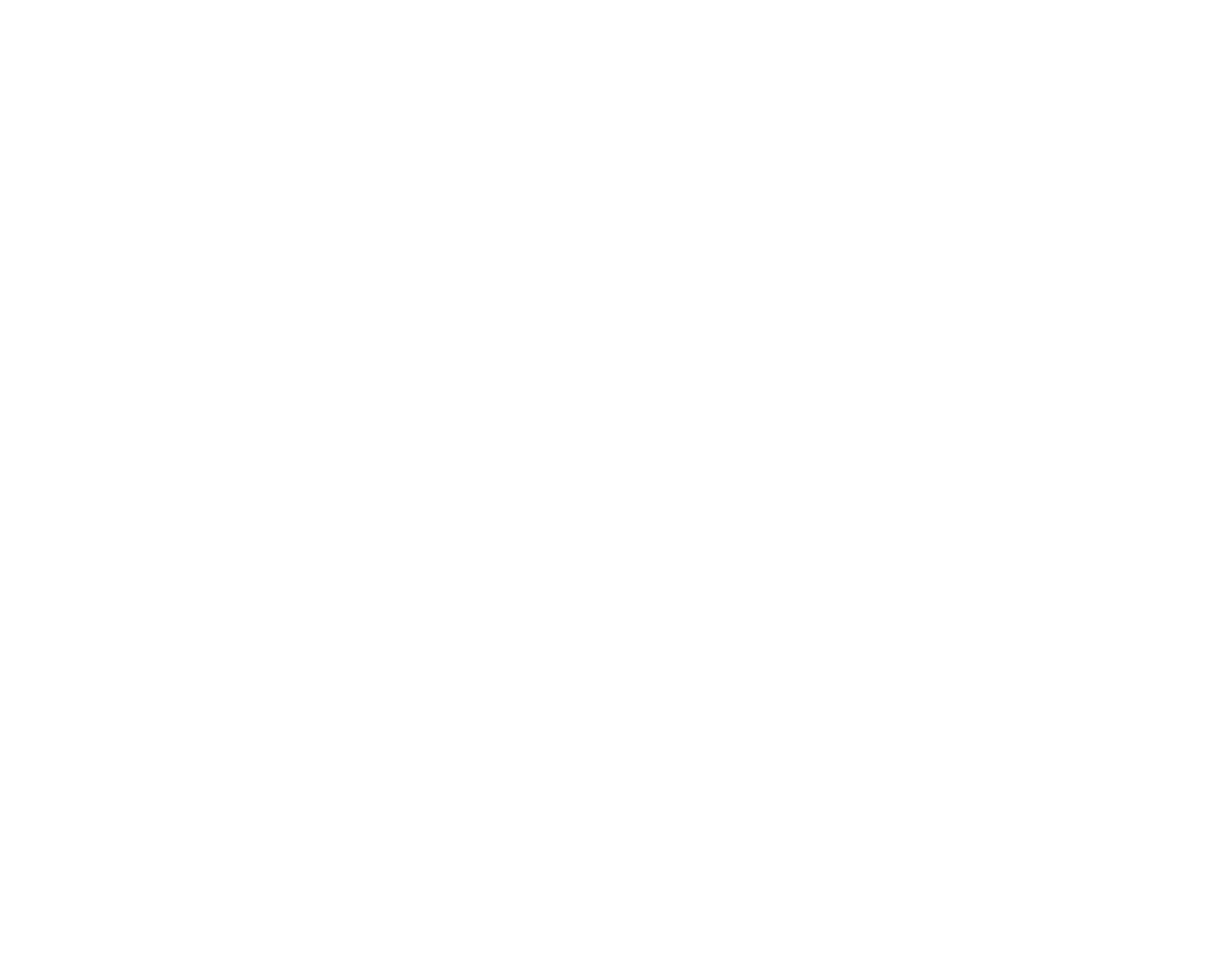 samurai_and_ninja