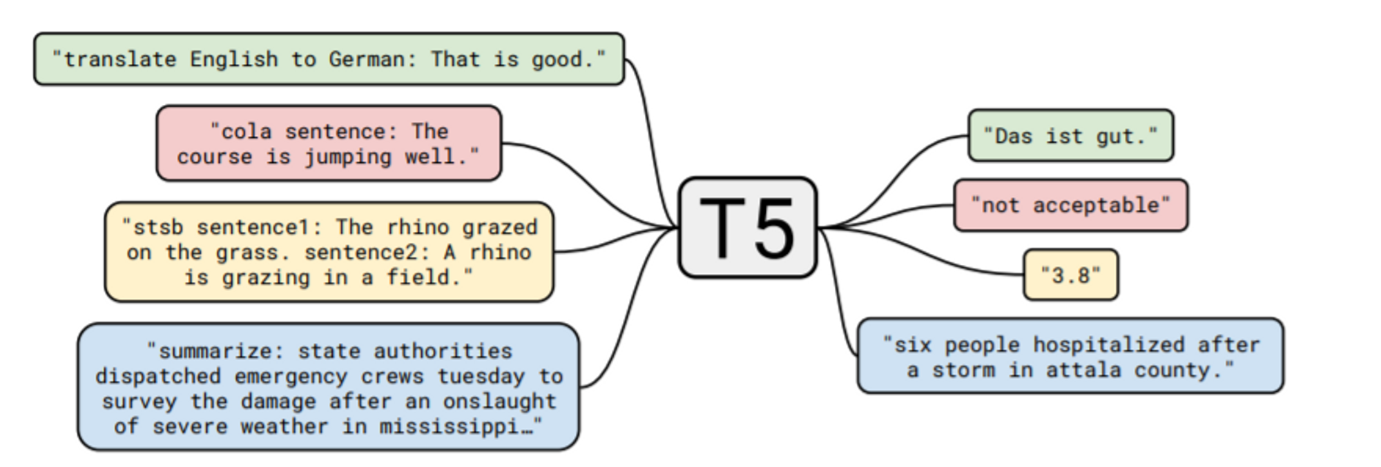 t5
